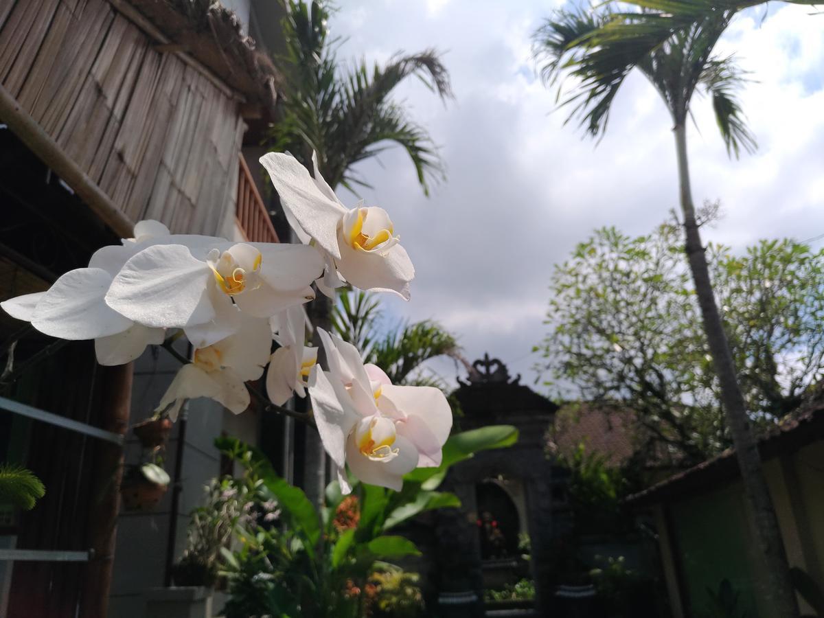 Mekenyem House Gasthof Ubud