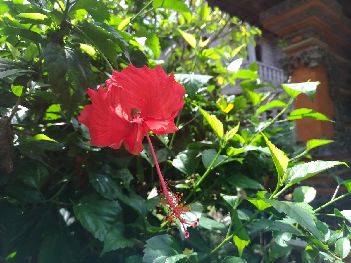 Mekenyem House * Ubud