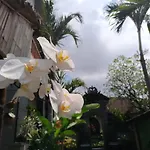 Mekenyem House Ubud